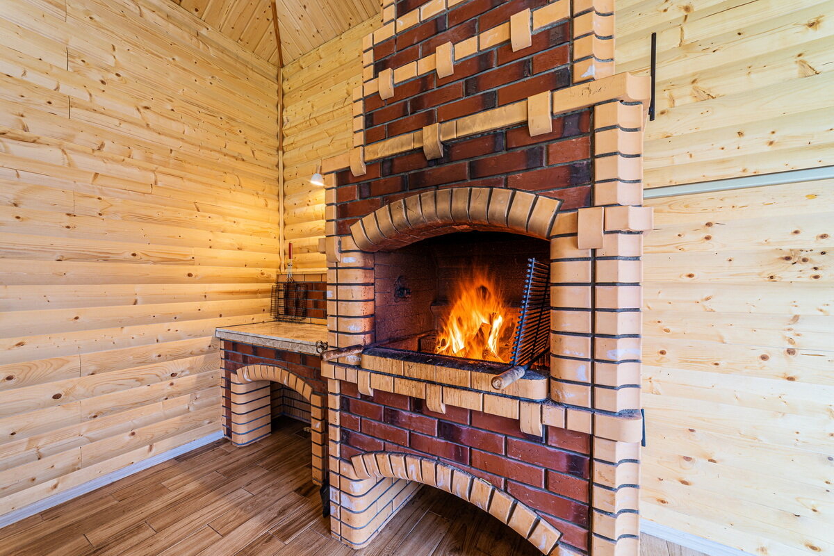 Фото Дельфин