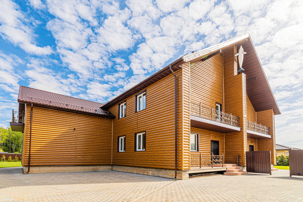 Фото Дельфин