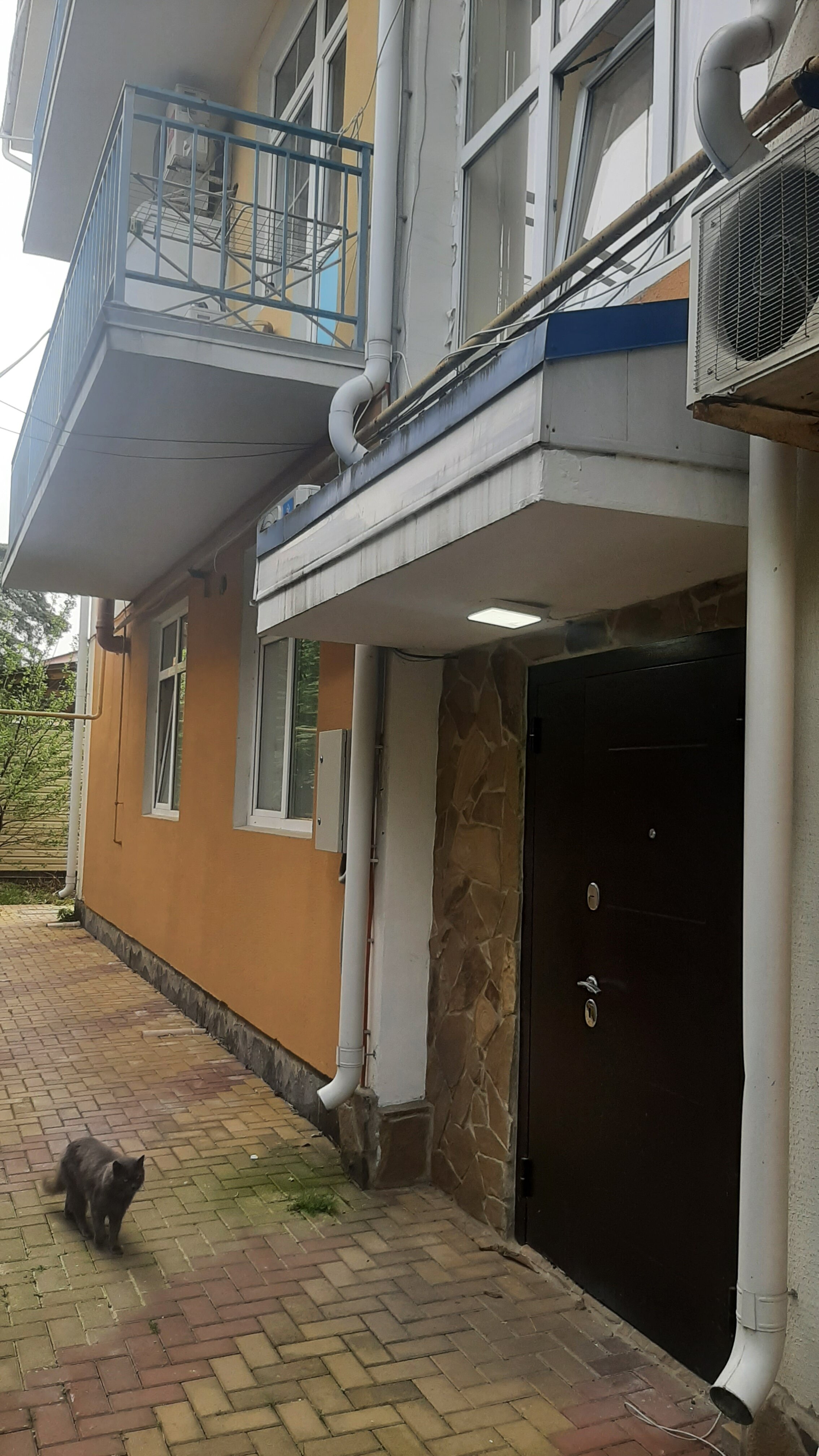 Фото Гринго