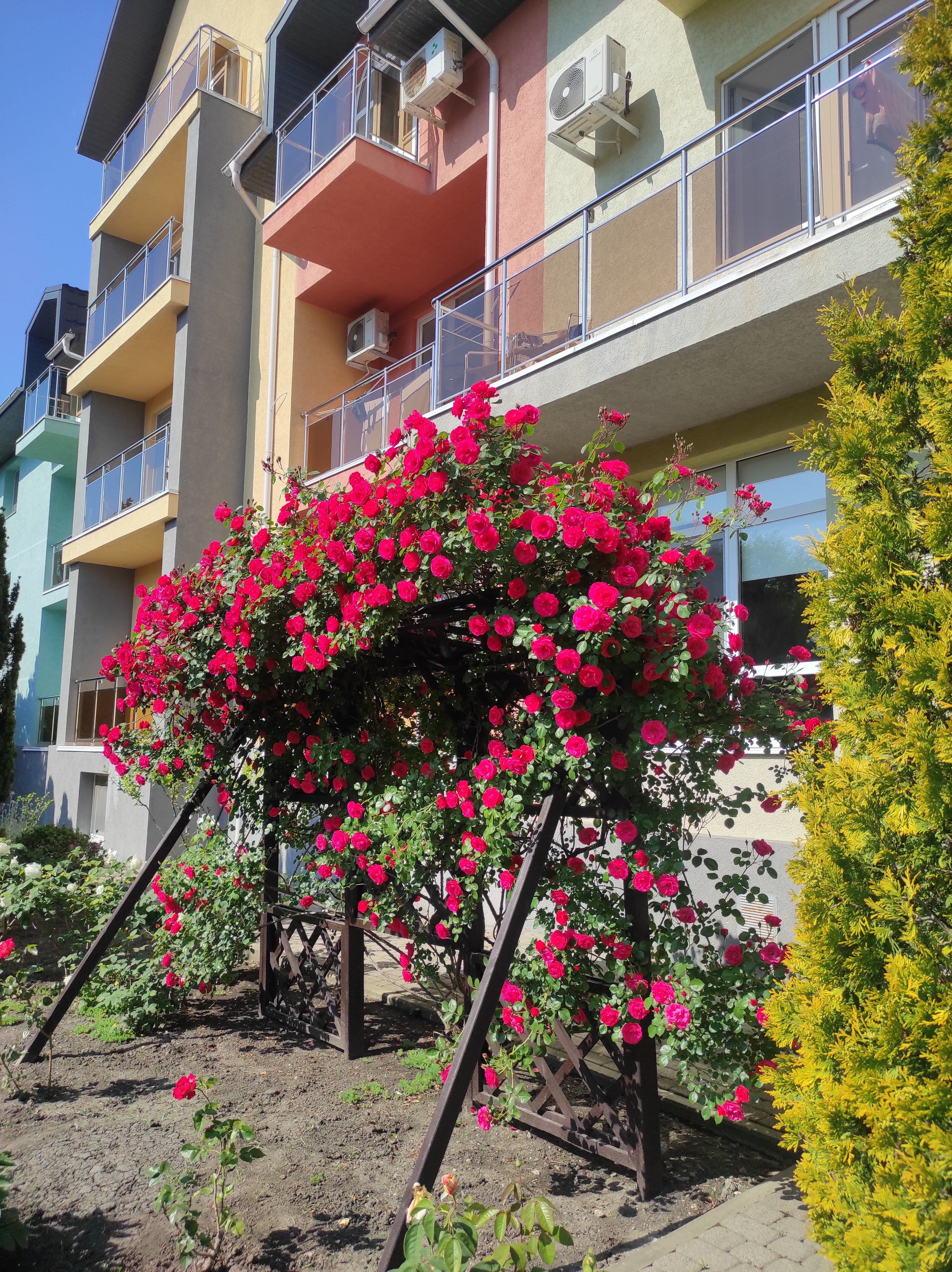 Фото отеля 4