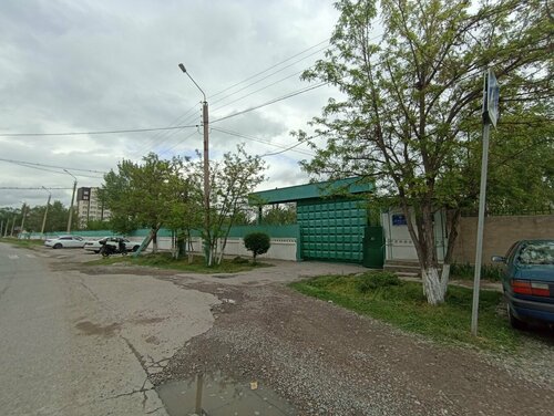 Қалың жамбастың порно фотолары