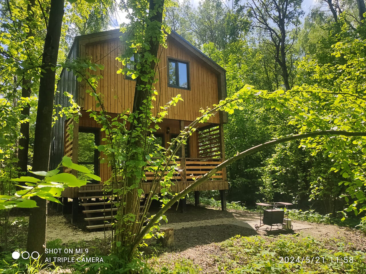 Фото Ореховая роща