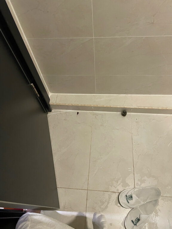 Фото Mildom City