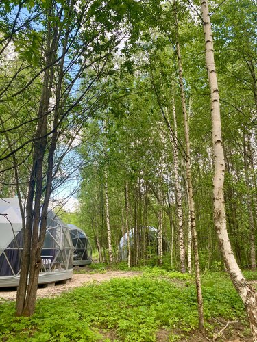 Глэмпинг Озеро Ле в Дубне