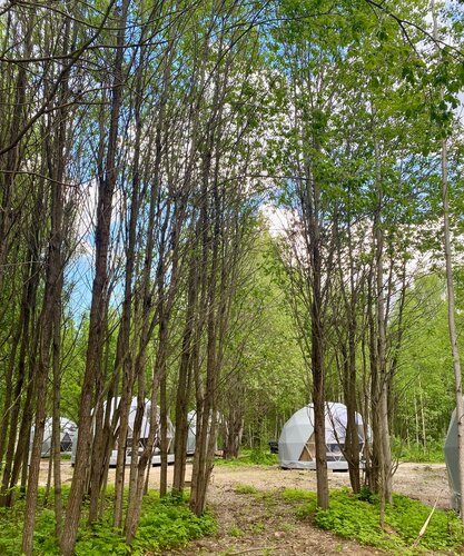 Глэмпинг Озеро Ле в Дубне