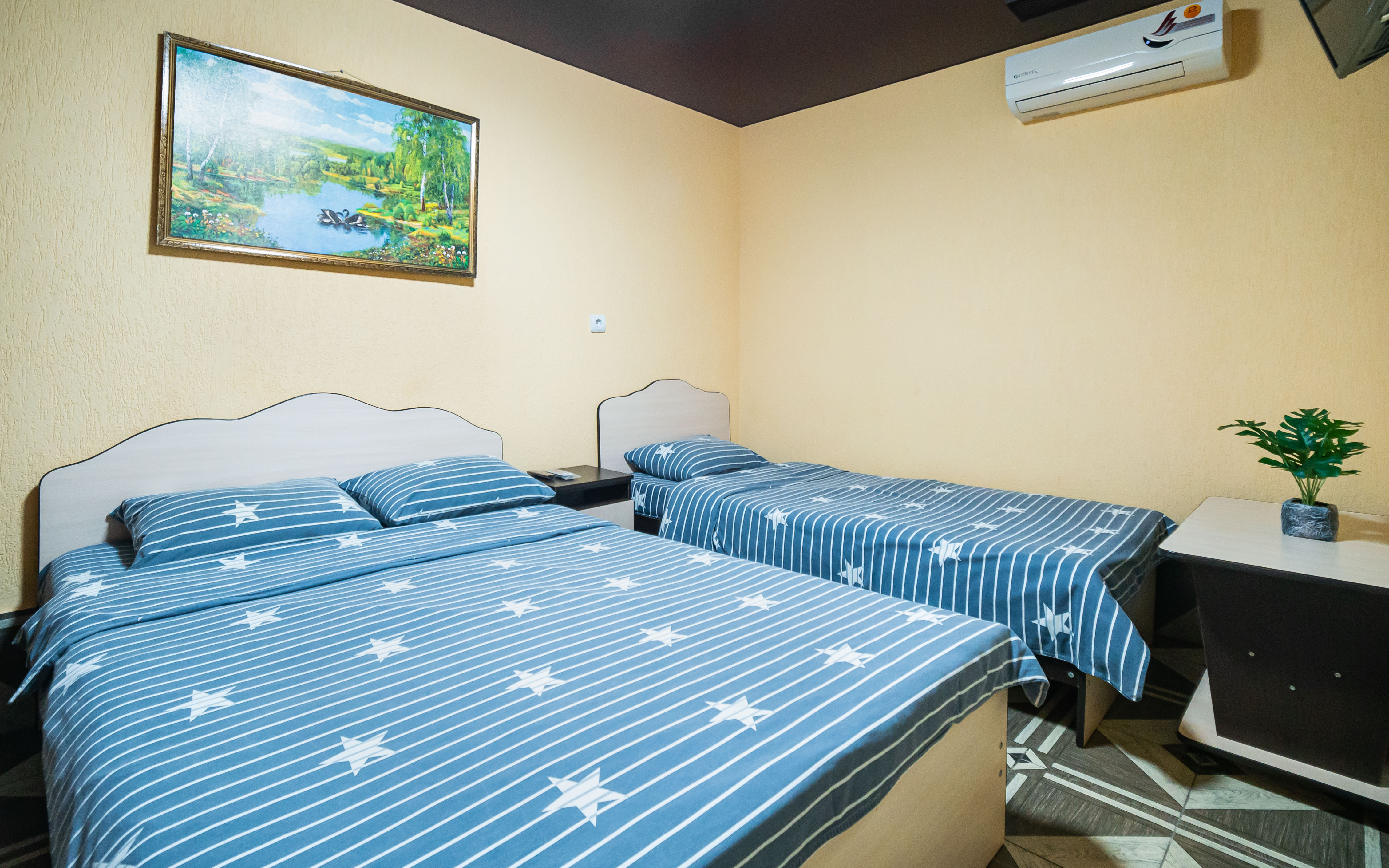 Фото Анютины Глазки