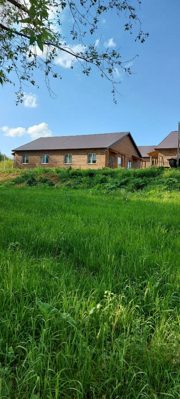 Фото Ёлки-Палки