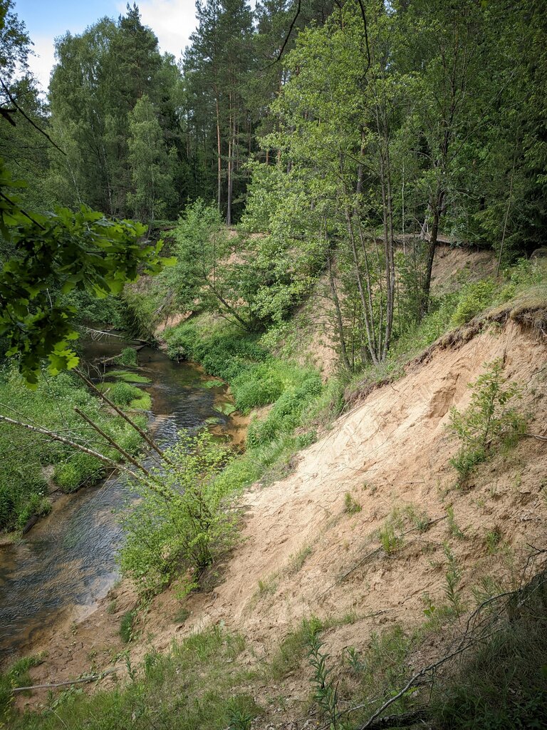 Nature reserve памятник природы республиканского значения Обнажение Полочаны, Minsk District, photo