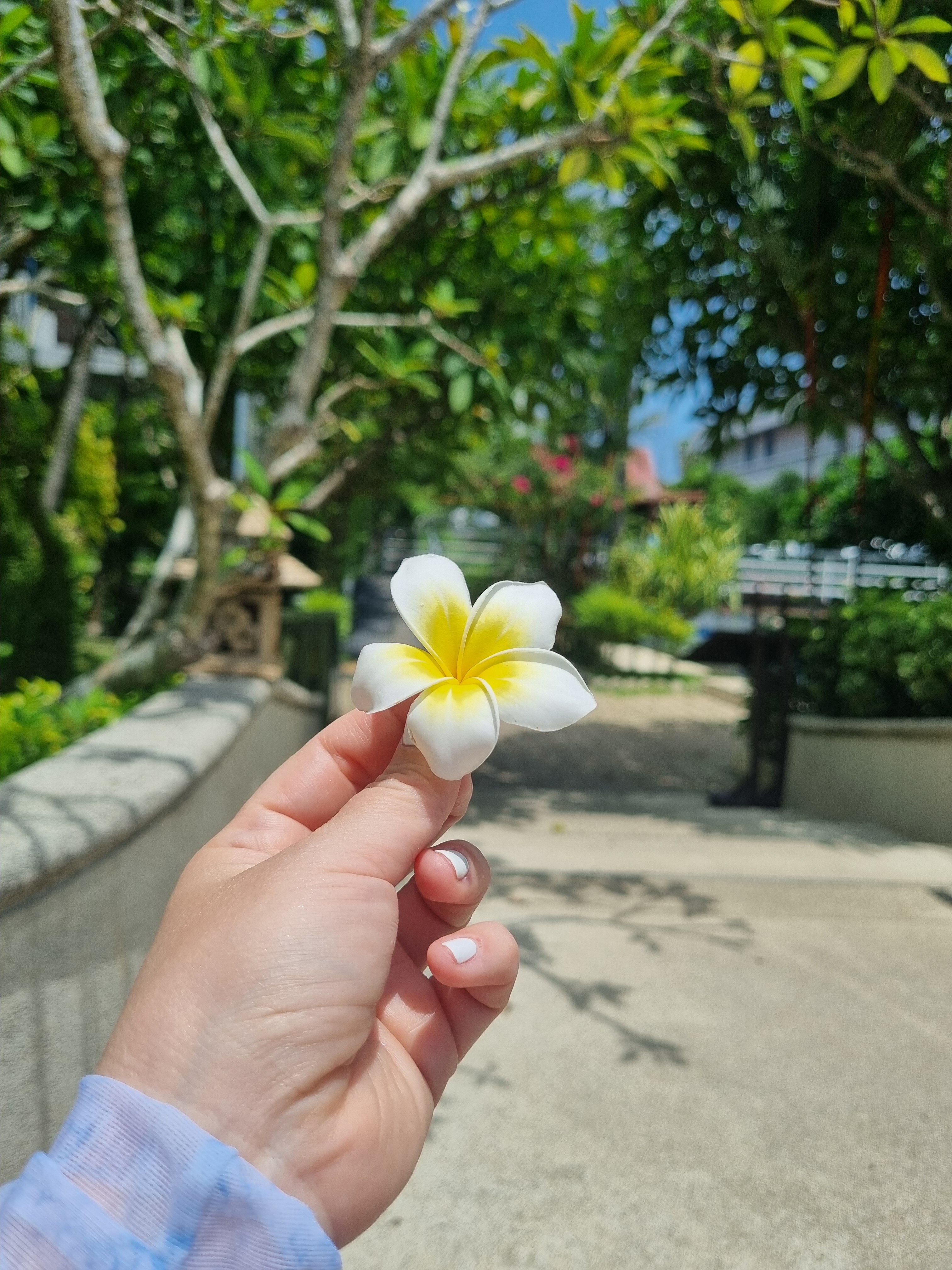 Фото Phuket Island View Resort