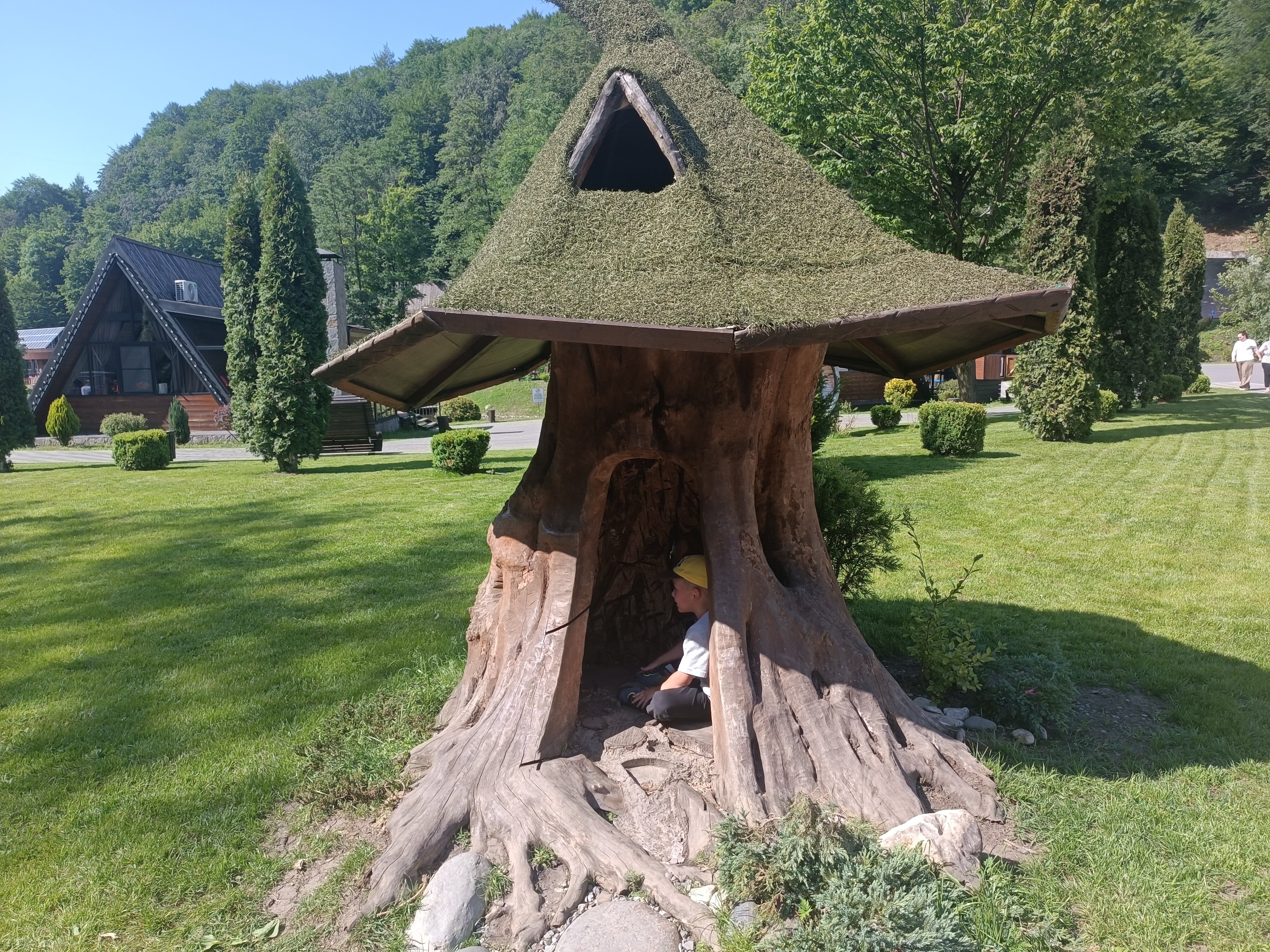 Фото Альпина парк