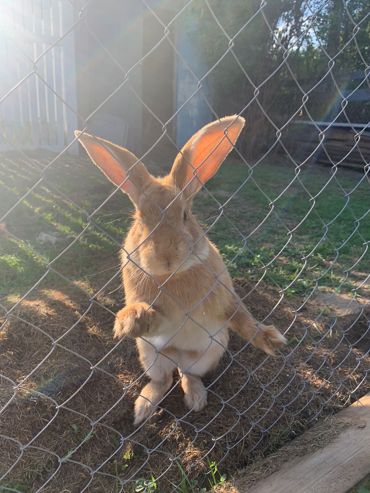 Фото Зеленьково