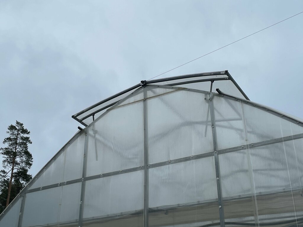 Тепличное хозяйство ВиксГрупп, Гомель, фото