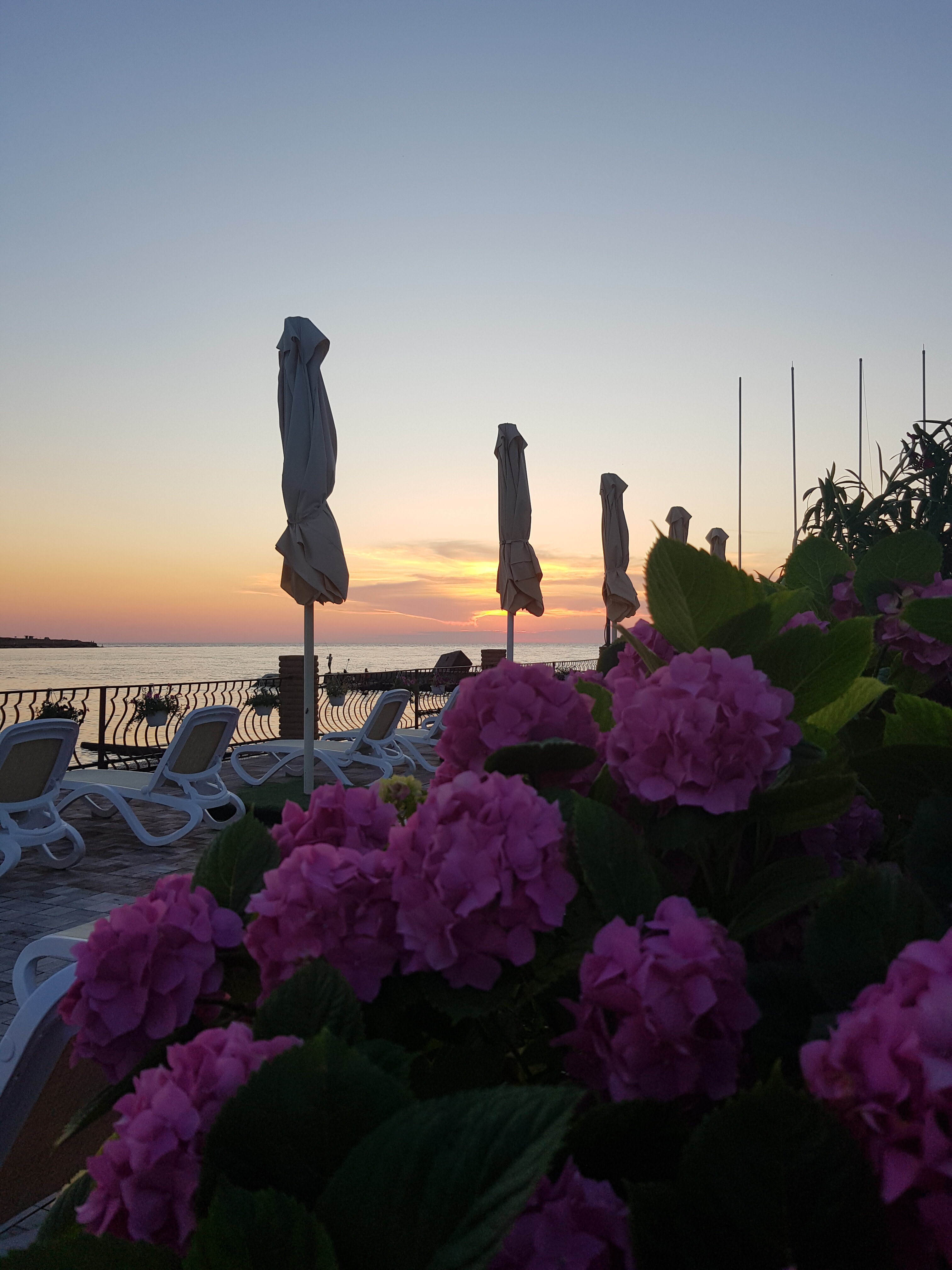 Фото Яхт клуб Юг