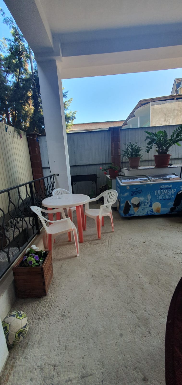 Фото Алладин