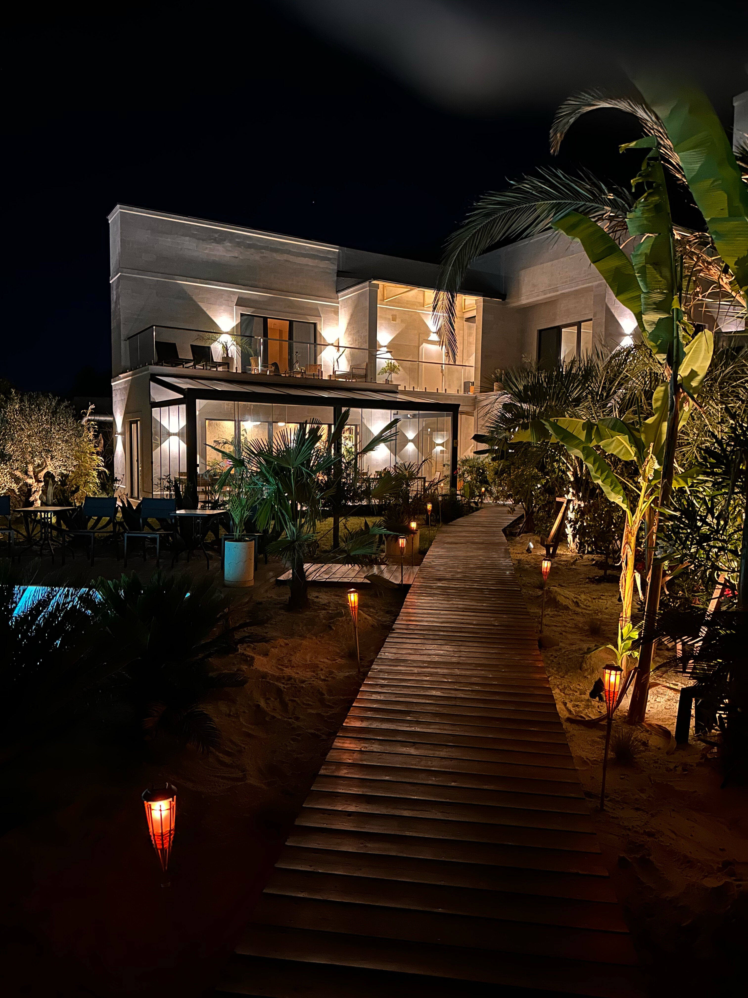 Фото Little Palm