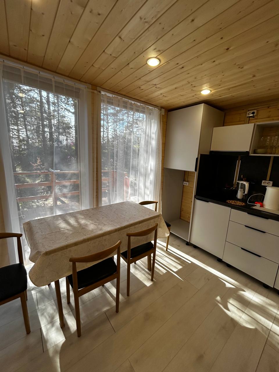 Фото Багульник