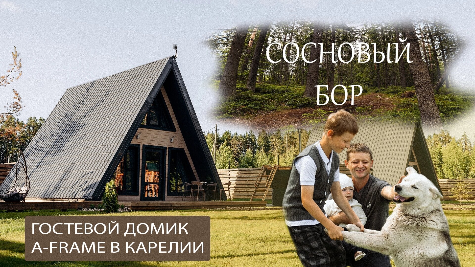 Фото Infinity Forest