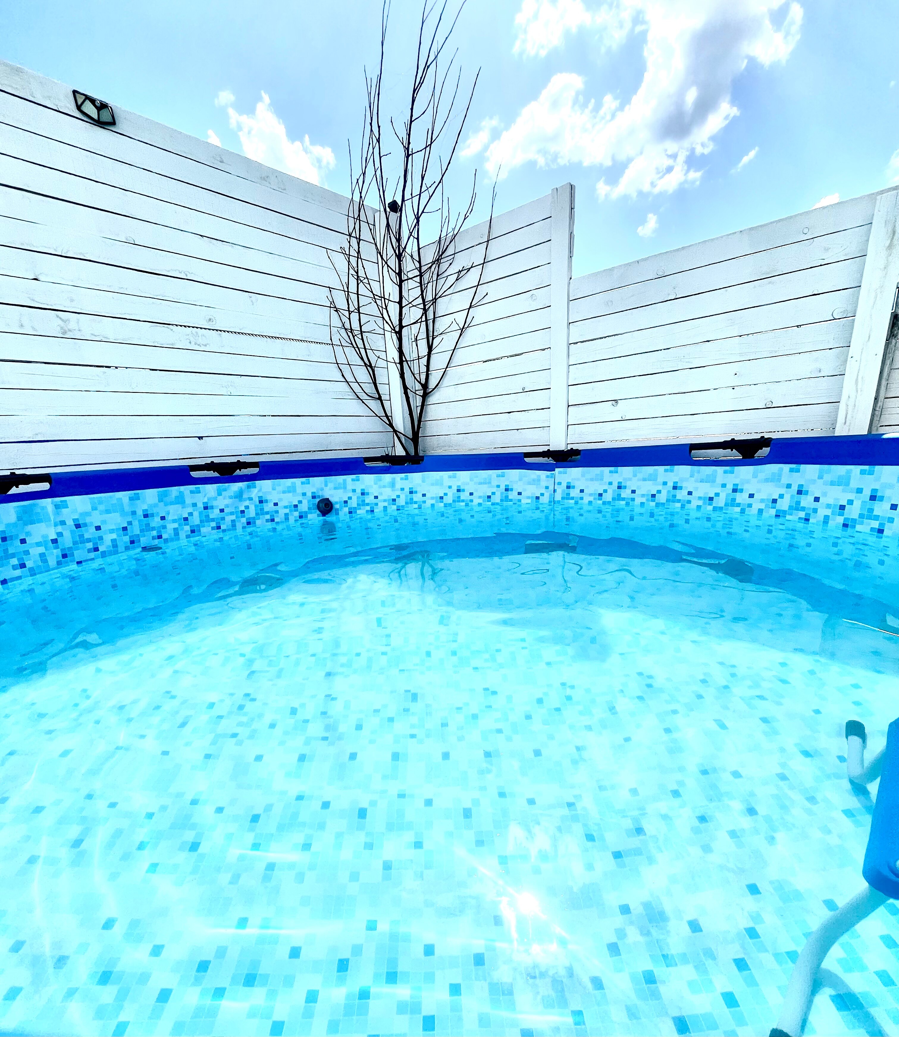 Фото Вилла Изумрудный лес