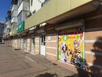 Artemida (Lenina Avenue, 40), pet shop