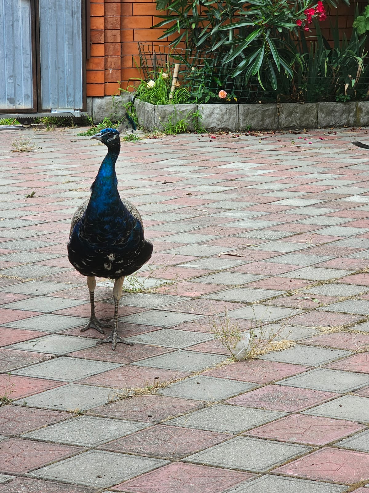 Фото Заповедник