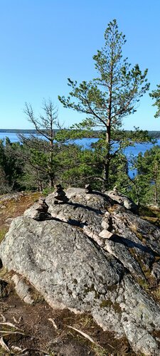 Үлкен есек секс қаншықтар