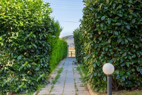 Гостиница Detached House w Garden 1o min to Seashore in Urla в Урле