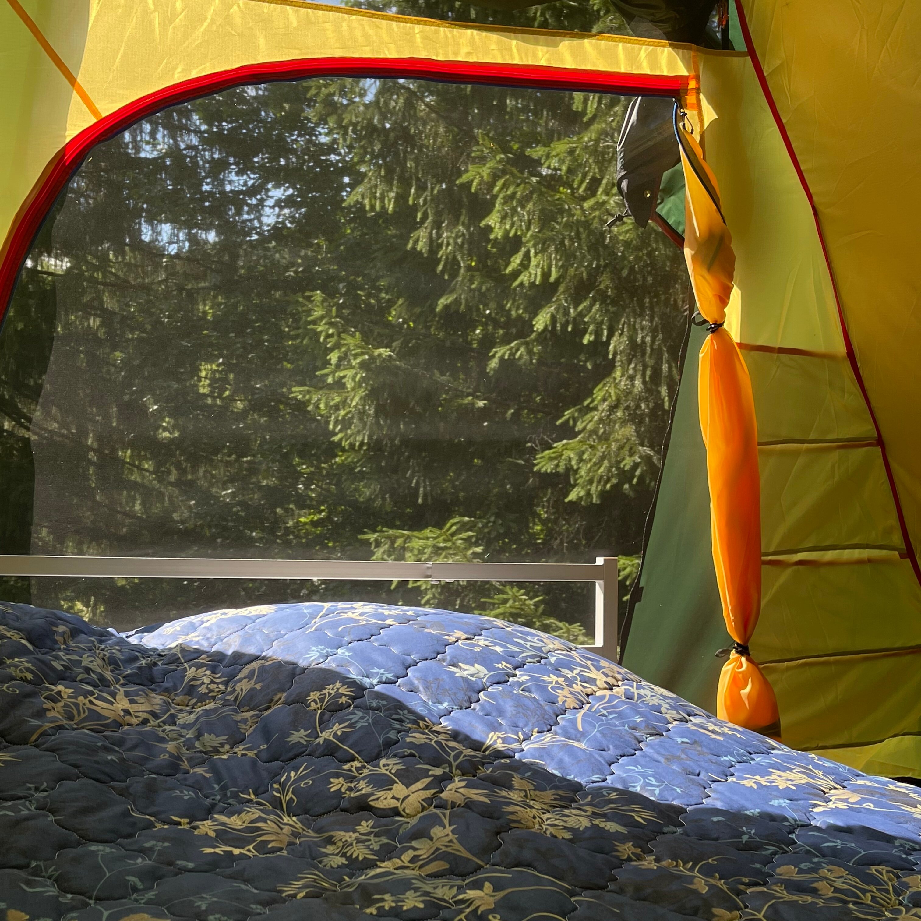 Фото Пение птиц