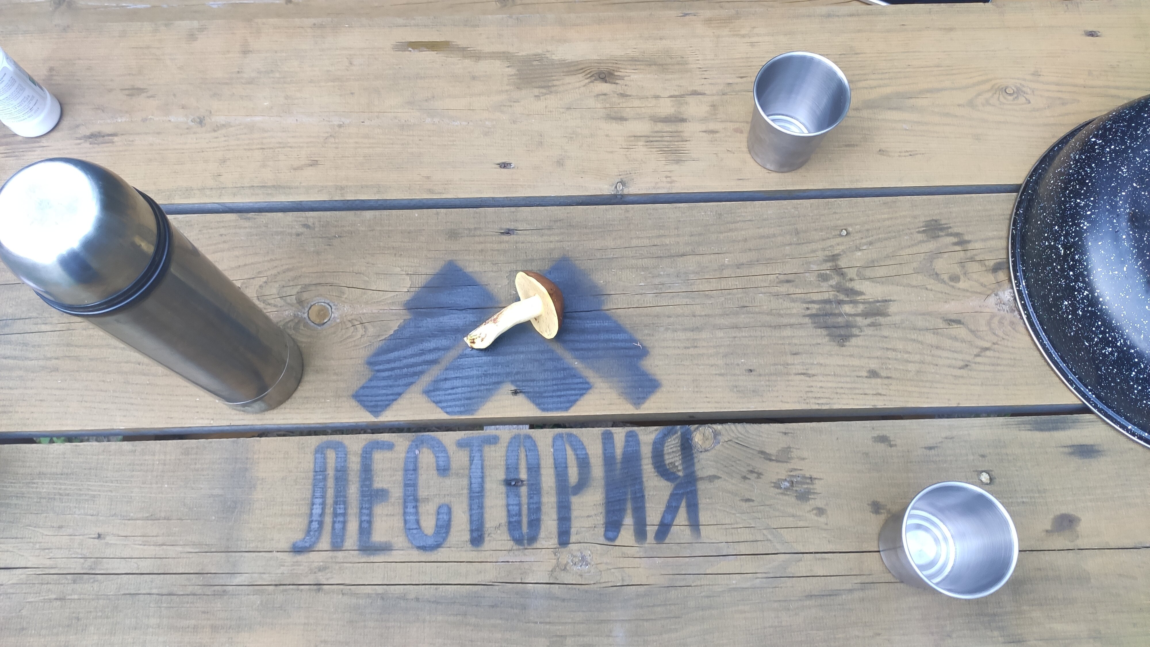 Фото Лестория