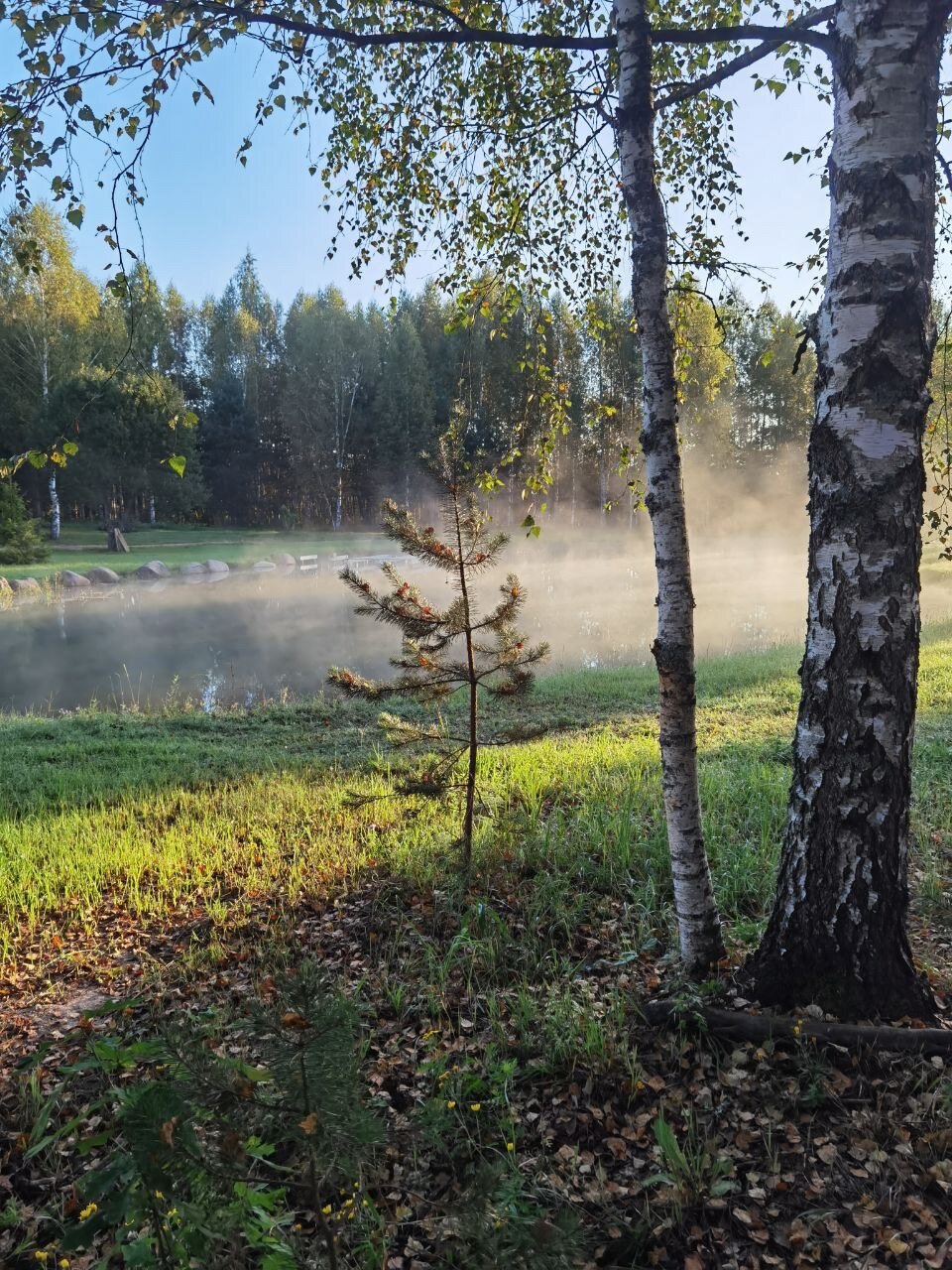 Фото База отдыха Ивашнёво