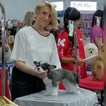 Вероника (ulitsa Klimova, 25), salón de mascota, peluquería de animales