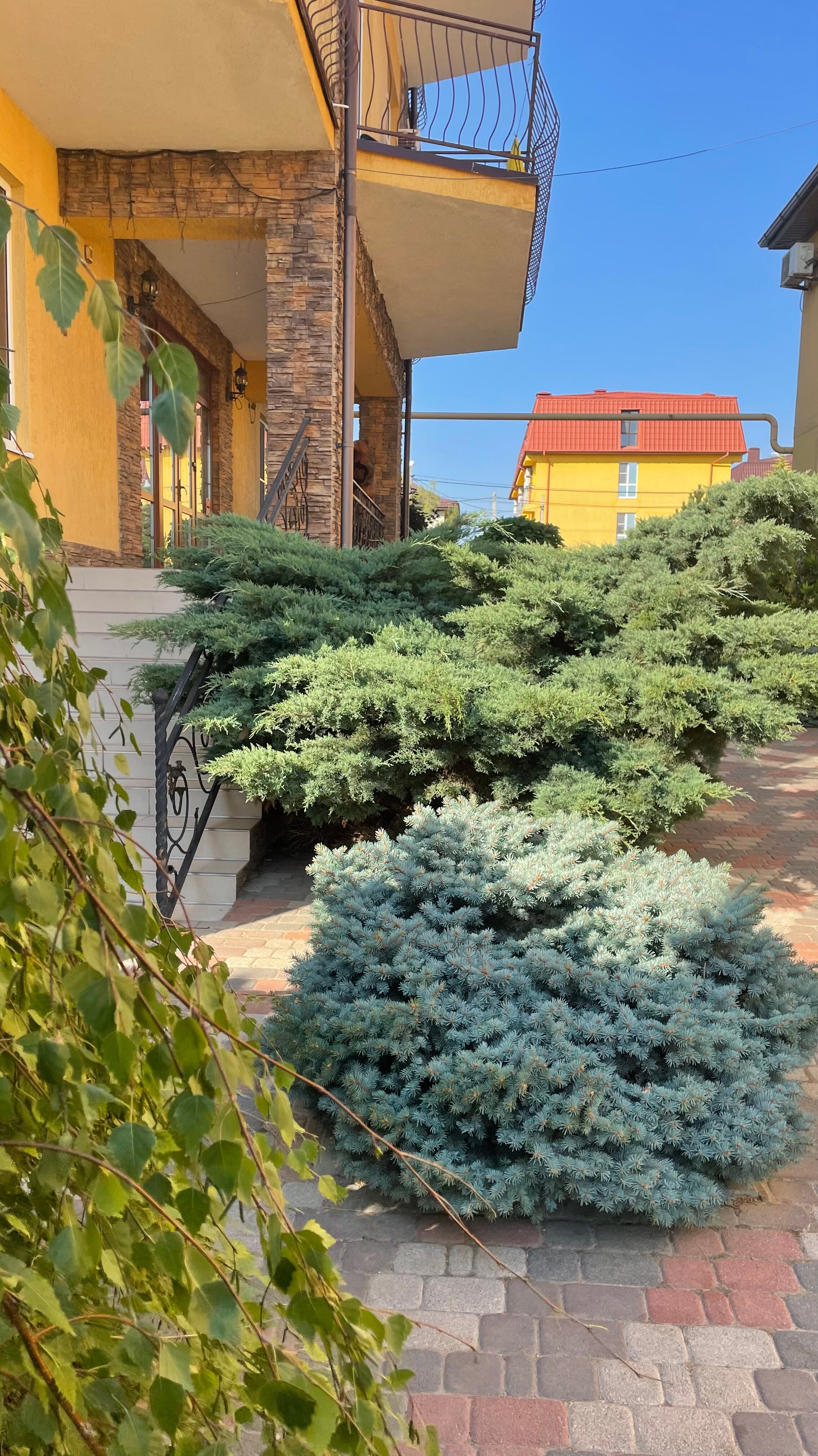 Фото Авалон