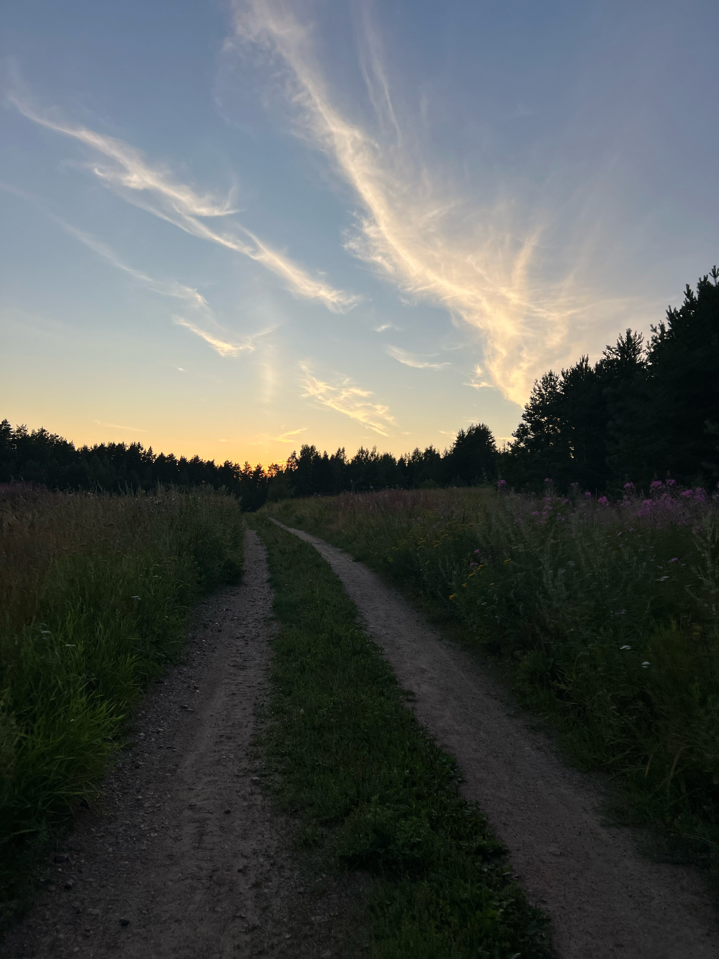 Фото Йети на комете