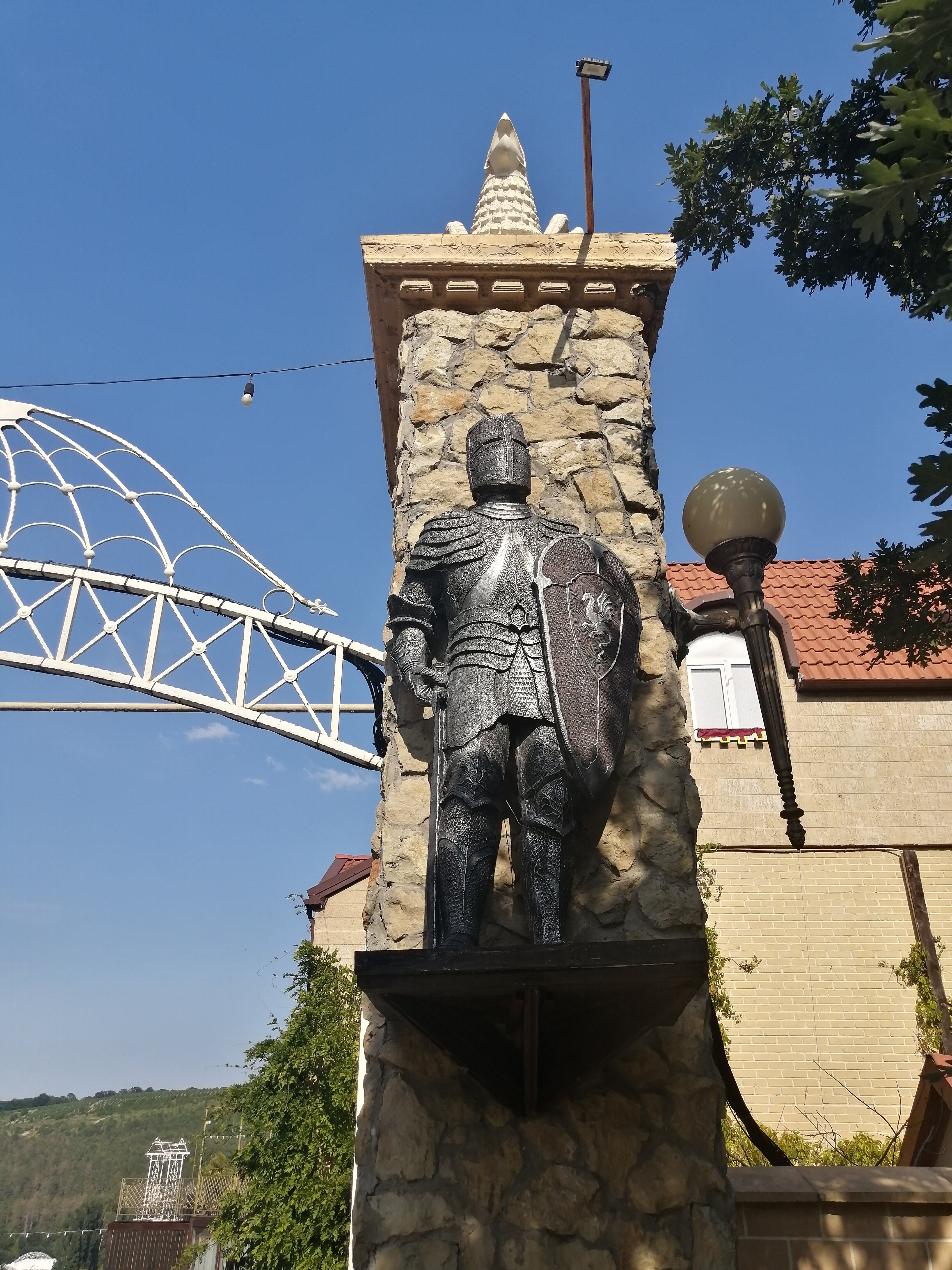 Фото Крылья