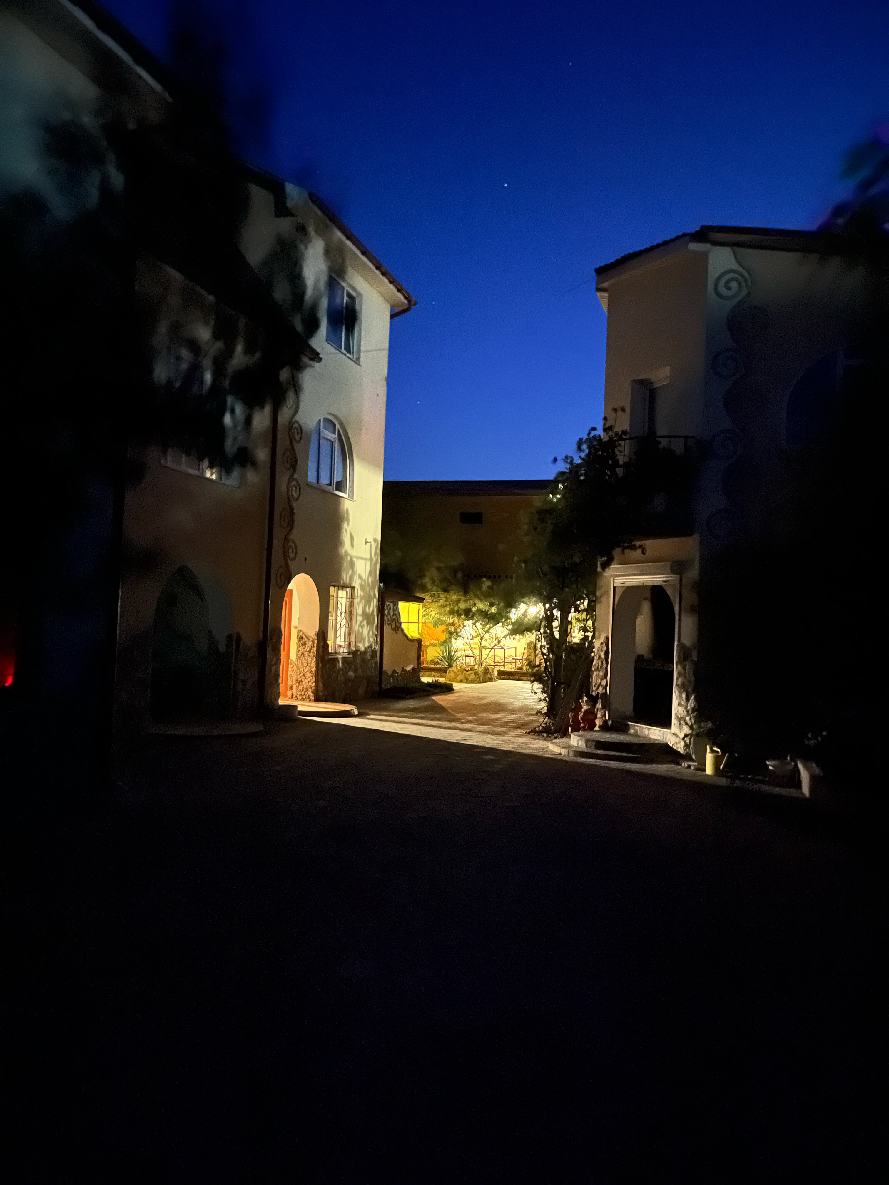 Фото Роза ветров