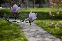 Фото Liuying Hotel