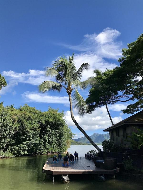 Фото Paradise Bay Resort