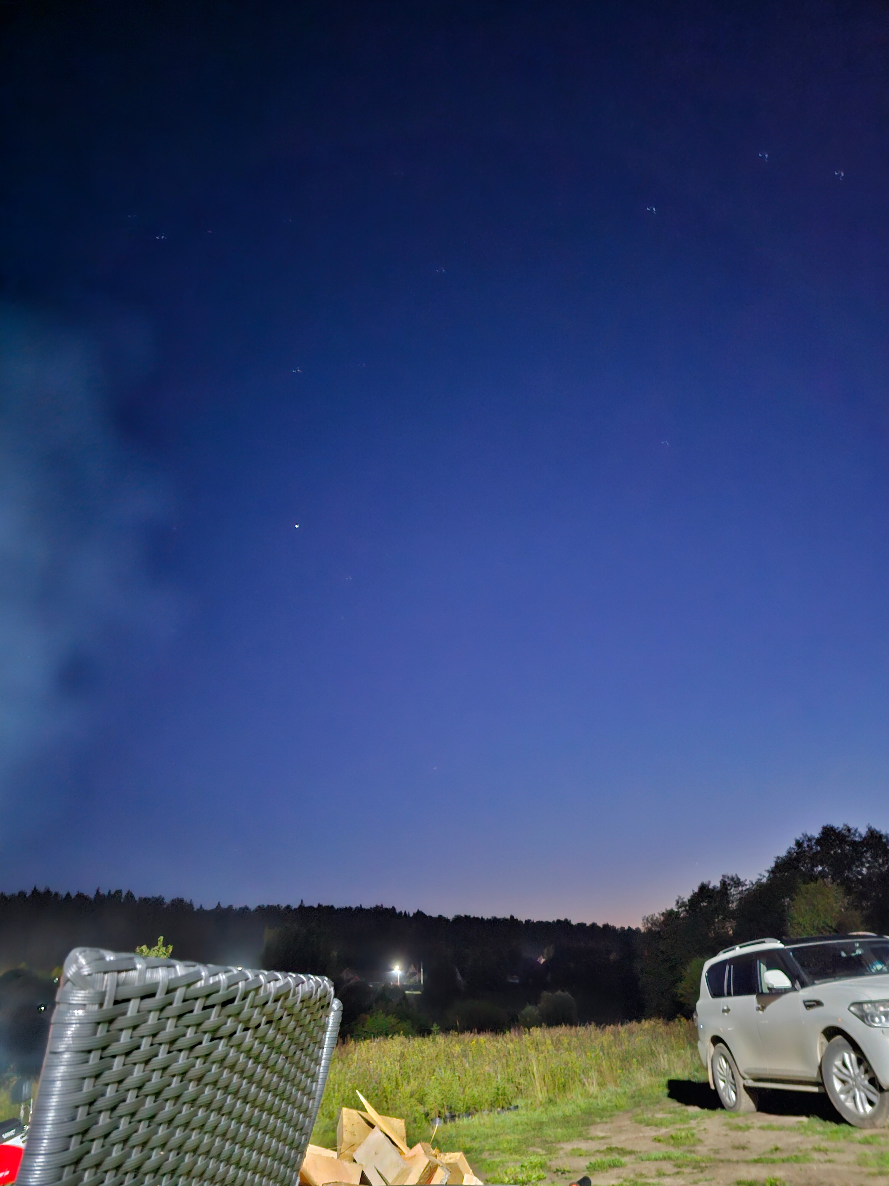 Фото Веселые гуси