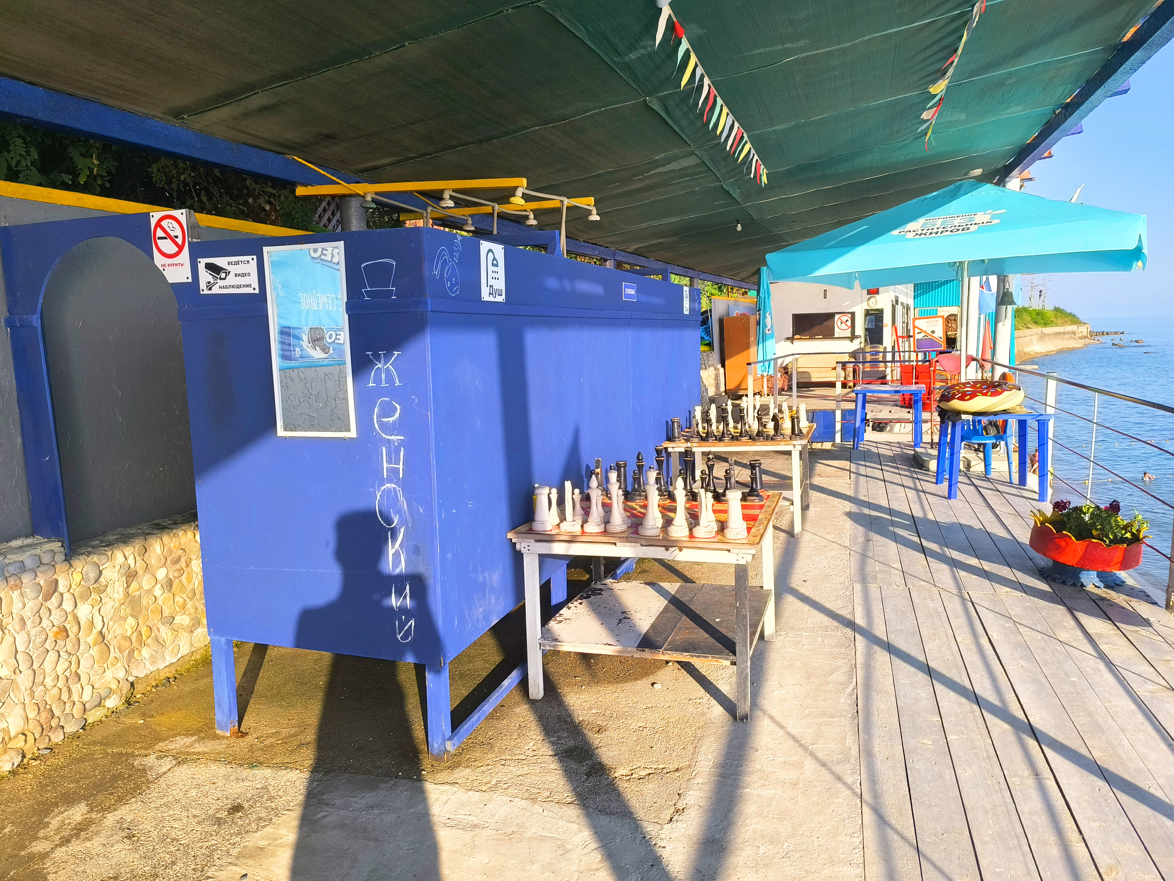 Фото У Кедра