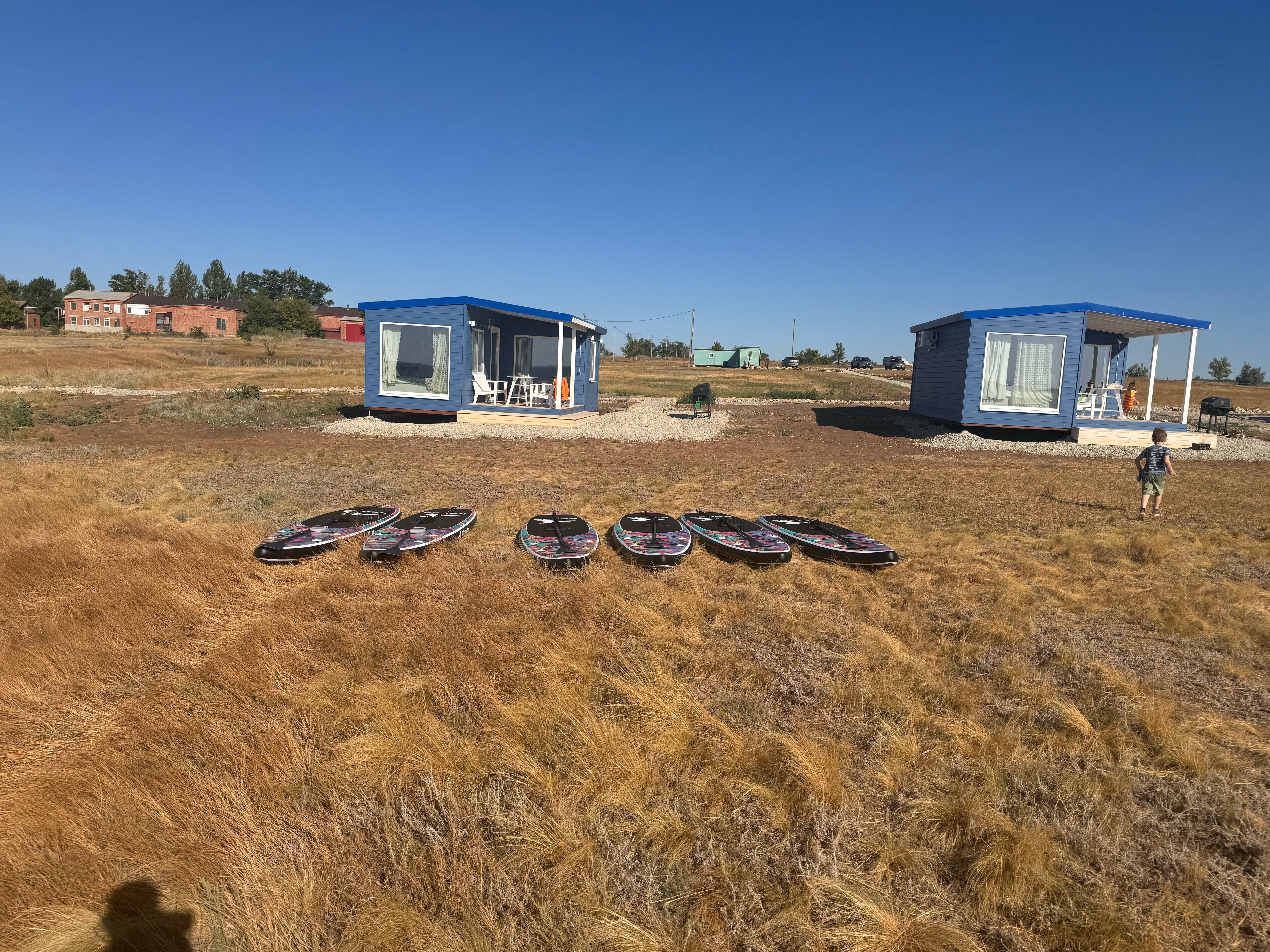 Фото Полынь