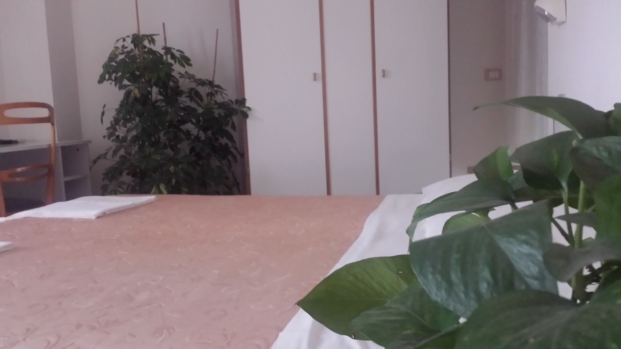 Фото Hotel Galles