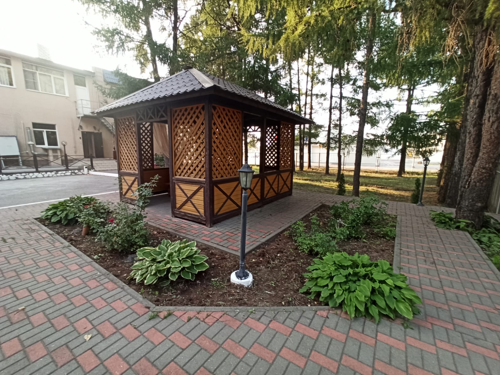 Фото Разгуляй