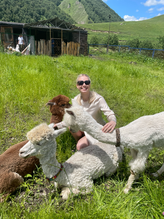 Фото Альпака