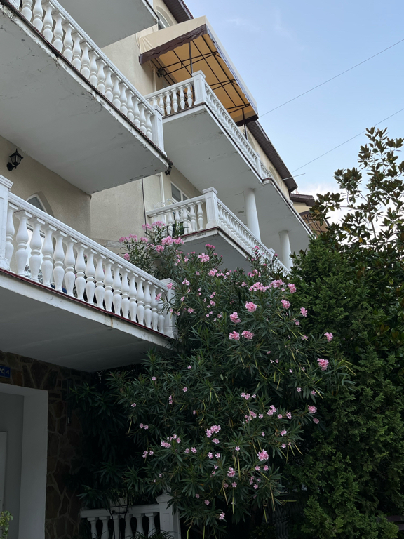 Фото Глория