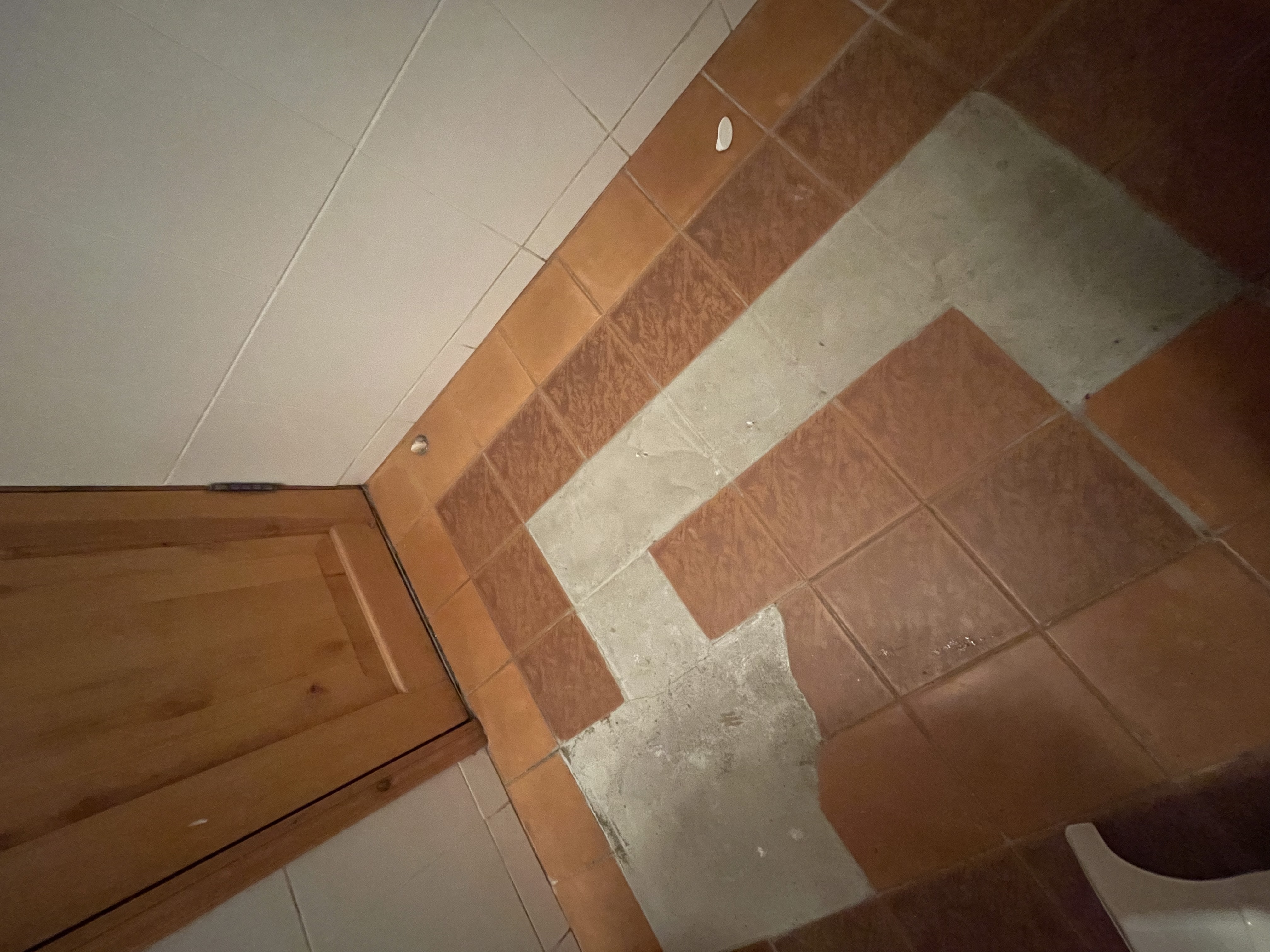 Фото Пальмира