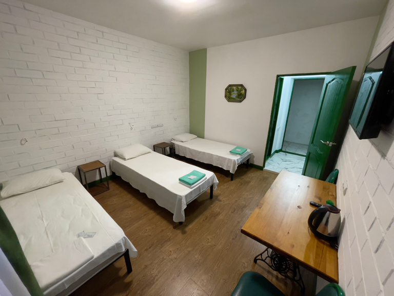 Фото Тополя