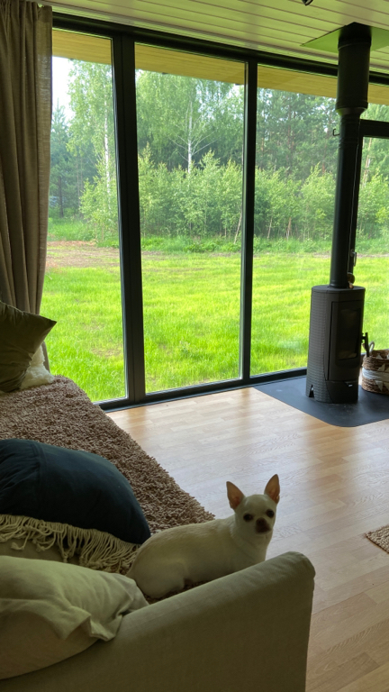 Фото Тишь да гладь