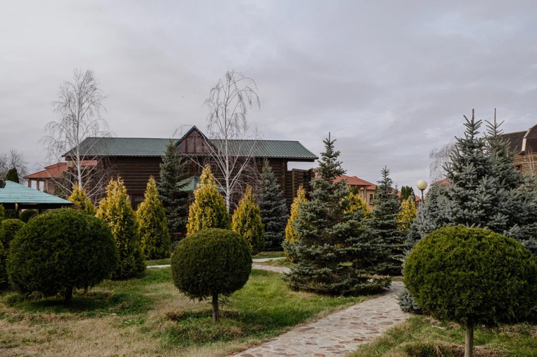 Фото Ковчег