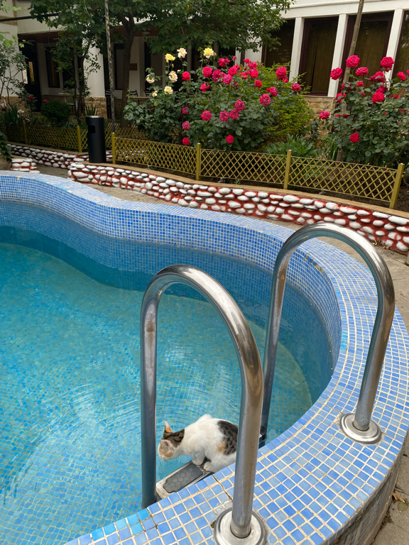 Фото Андалусия