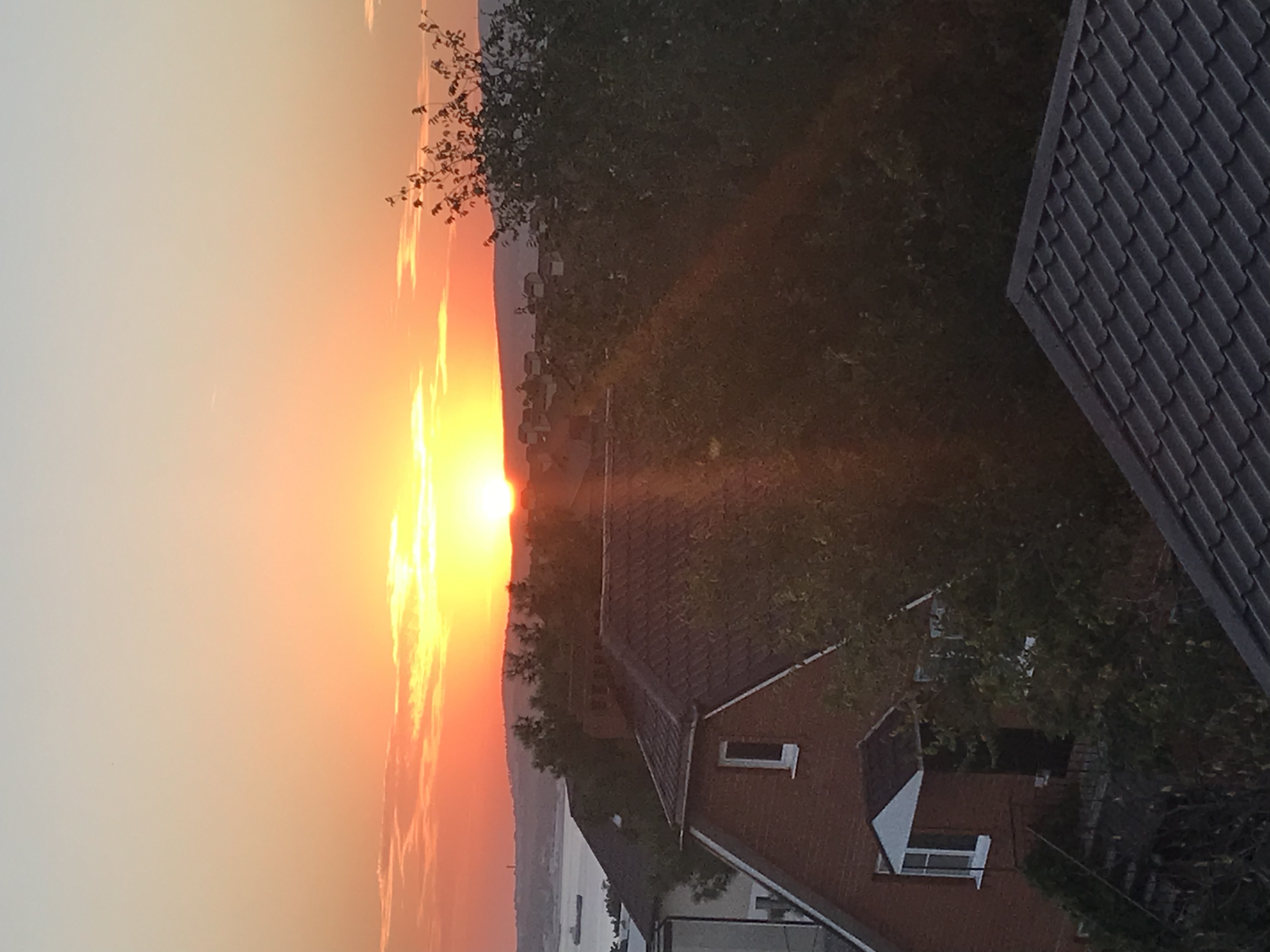 Фото Анамеро