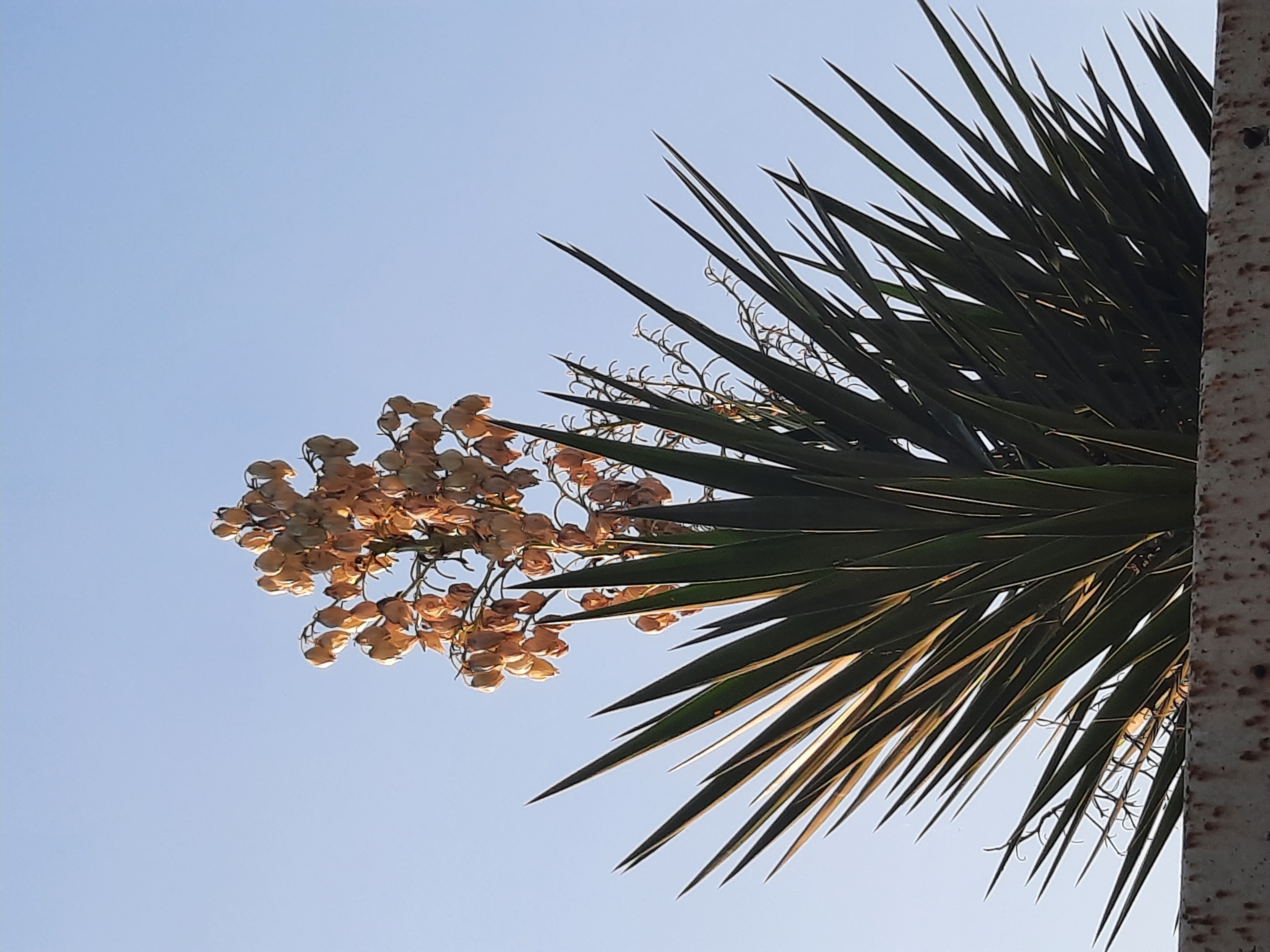 Фото Гвардамар